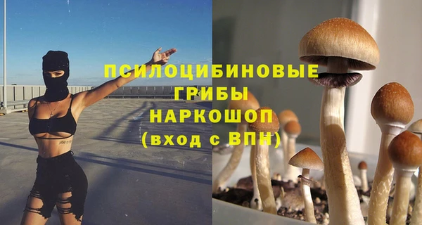 кокс Пересвет